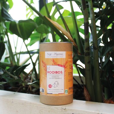 Infusion sachets pyramidaux "Rooibos"